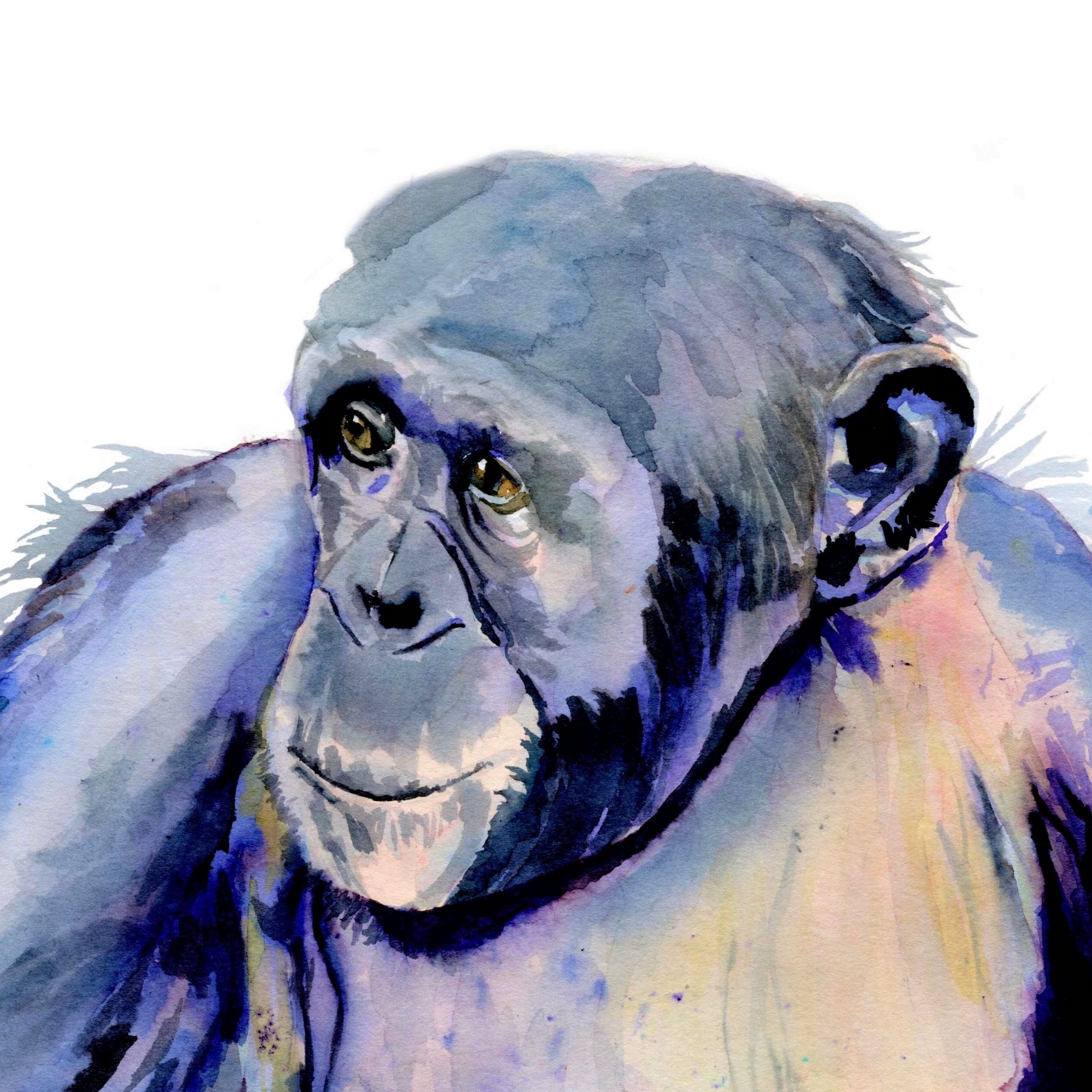 "A close up of the detail of an A4 art print featuring an original watercolour painting by artist Jagos Art. The artwork showcases a soulful chimpanzee gazing to the side, painted in rich purple tones. Printed on archival paper for lasting vibrancy."