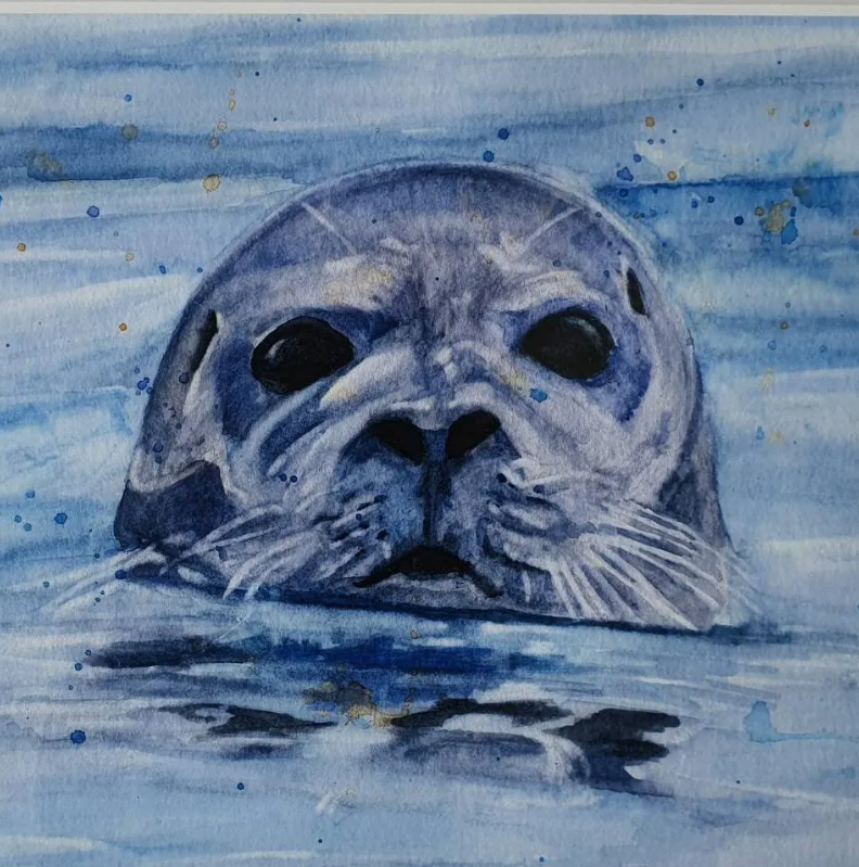 "A close up of an A4 art print featuring an original watercolour painting by artist Jagos Art. The artwork showcases a charming seal emerging from the water, gazing out with soft blue and turquoise tones. Printed on archival paper for lasting vibrancy."