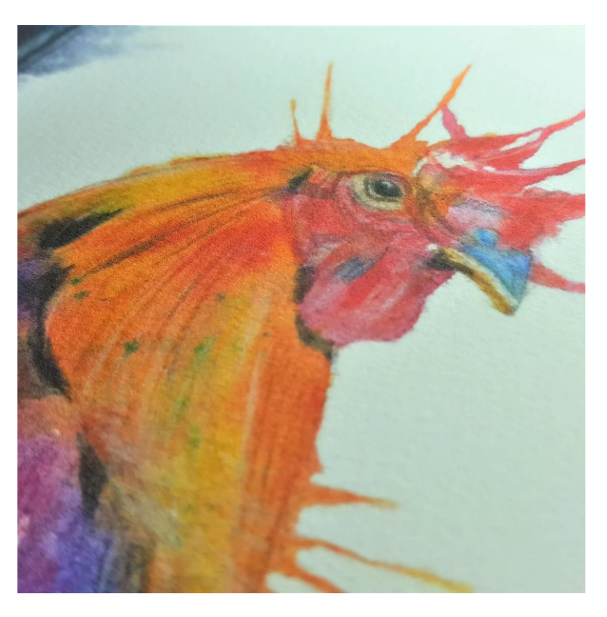 "A close up of an A4 art print featuring an original watercolour painting by artist Jagos Art. The close up showcases a striking cockerels head and neck, painted in vibrant hues of red, orange and purples. Printed on archival paper for lasting vibrancy."