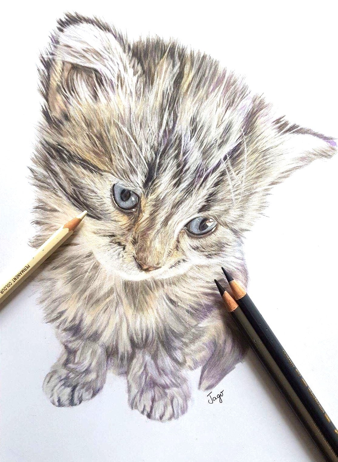 Custom Coloured Pencil Pet Portrait - Hand-Drawn Pet Art, A4 and A3 Sizes, Realistic Pet Drawing, Custom Pet Commission, Unique Gift for Pet Lovers