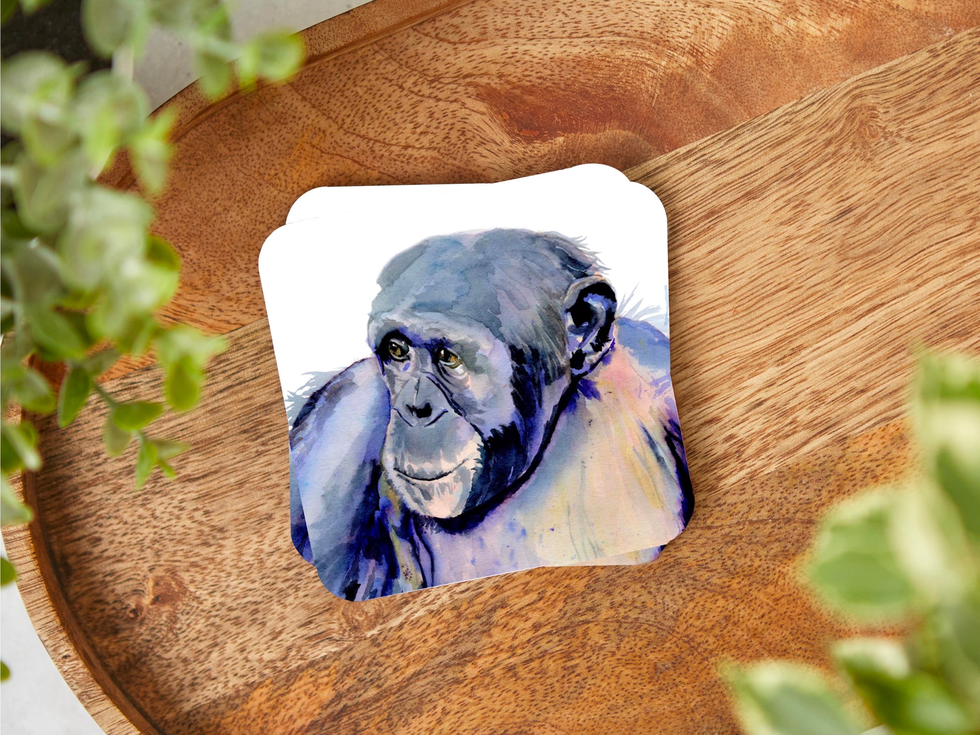 A drinks coaster featuring a print of an original watercolour painting by Jagos Art of a Chimpanzee looking at something in the distance with a lovely expression in his eyes painted in primarily purple tones