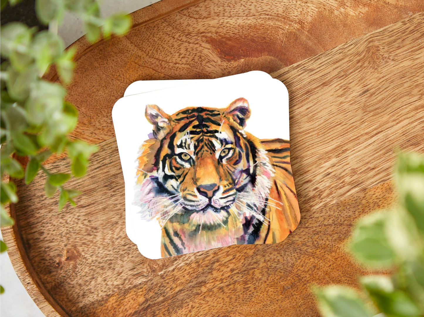 A coaster featuring a print of an art print of an original watercolour painting of a stunning Tiger looking right at the viewer with the primary colours being orange with purple tones