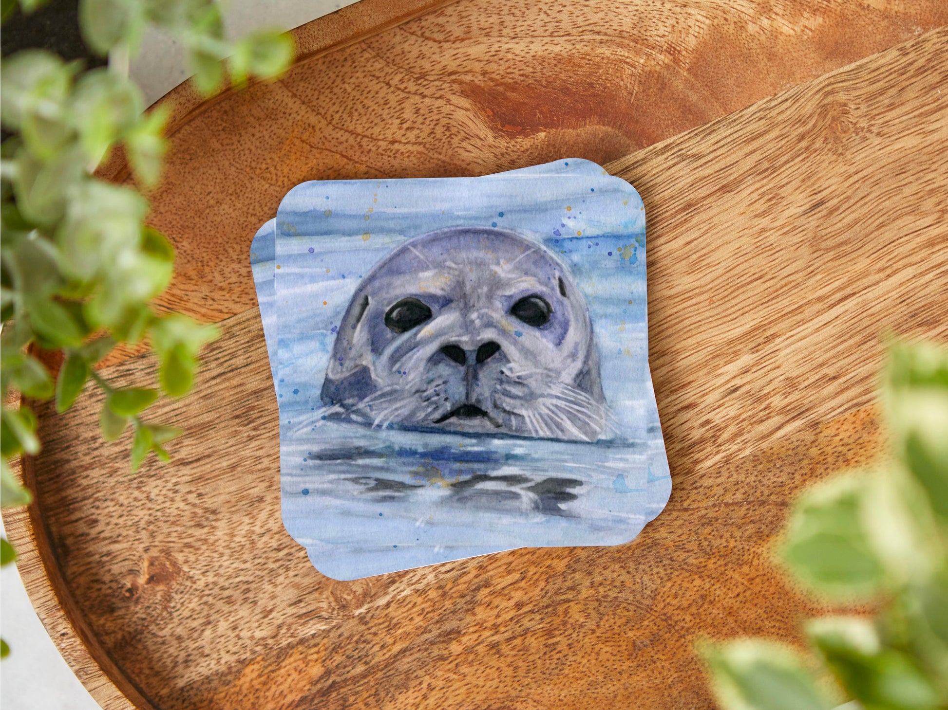 A coaster featuring a print of an original watercolour painting of a Seal popping his head up out of the water with the primary colours being blue and grey