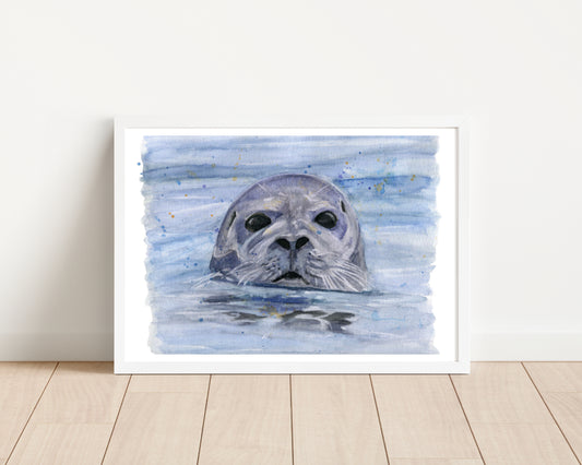 An art print of an original watercolour painting of a Seal popping his head up out of the water with the primary colours being blue and grey