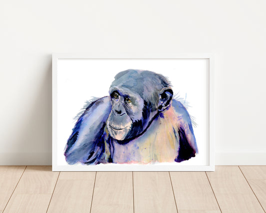 An art print by Jagos Art featuring a print of an original watercolour painting of a Chimpanzee looking at something in the distance with a lovely expression in his eyes painted in primarily purple tones